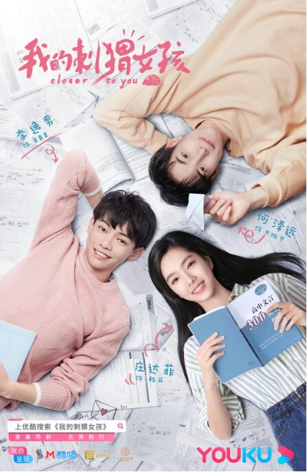 我的刺猬女孩剧照