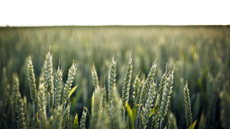 《阳神之太上忘情》剧照：宏大场景